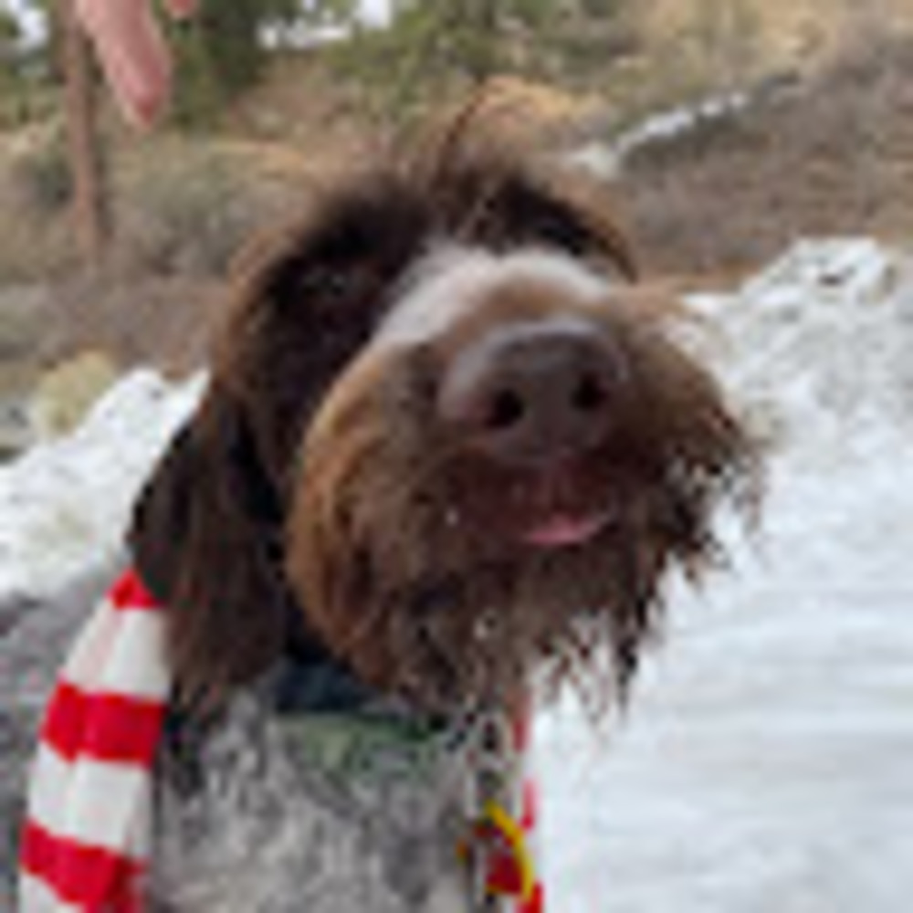 Meet your Posher, Joele